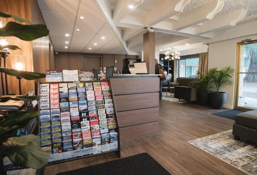 汽车旅馆  Robin Hood Inn And Suites