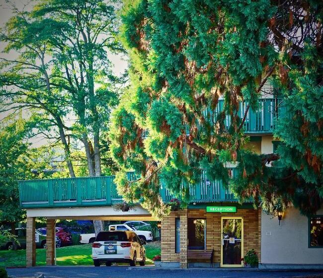 汽车旅馆  Robin Hood Inn And Suites