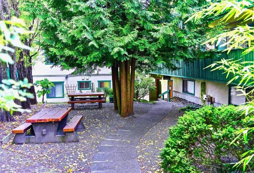 汽车旅馆  Robin Hood Inn And Suites