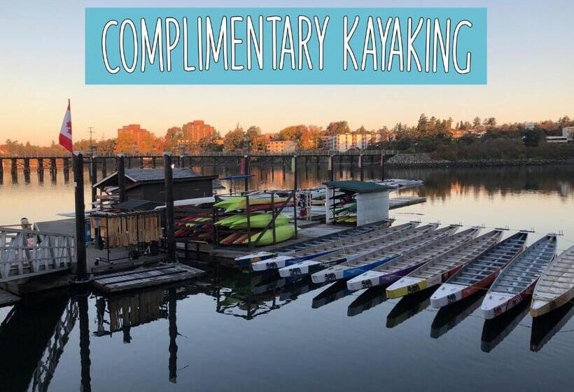 汽车旅馆  Robin Hood Inn And Suites