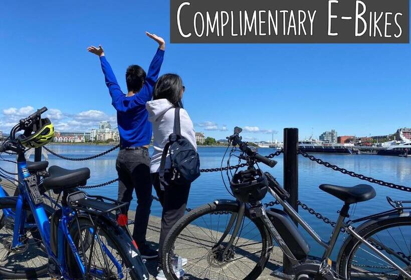 汽车旅馆  Robin Hood Inn And Suites