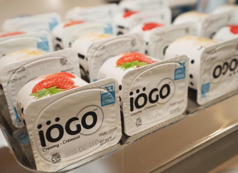 汽车旅馆  Robin Hood Inn And Suites