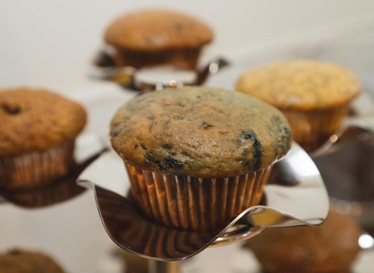 汽车旅馆  Robin Hood Inn And Suites