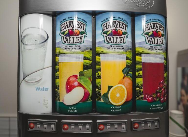 汽车旅馆  Robin Hood Inn And Suites