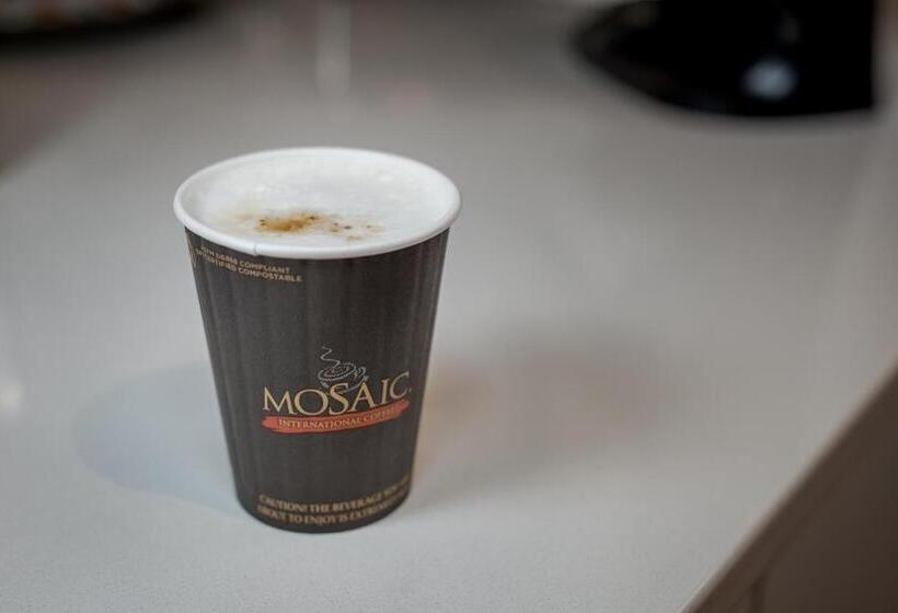 汽车旅馆  Robin Hood Inn And Suites