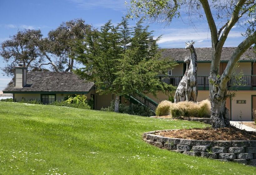 Sea Pines Golf Resort