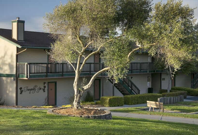 Sea Pines Golf Resort