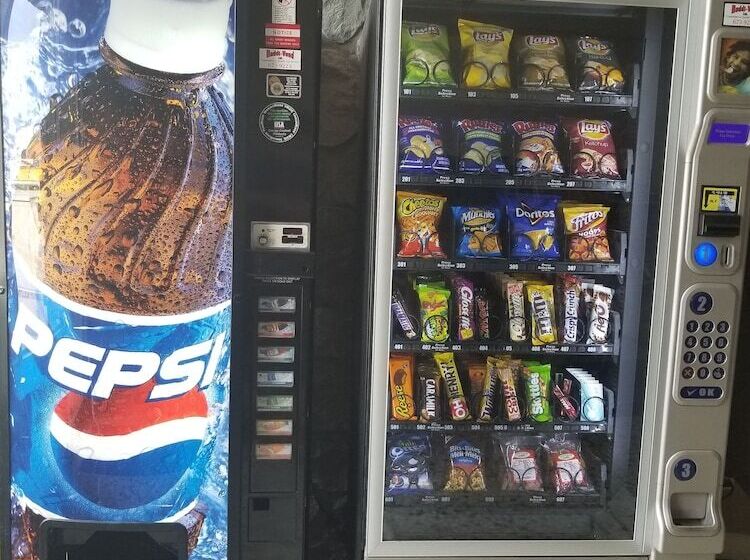 فندق Belmont Inn