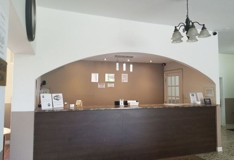 فندق Belmont Inn