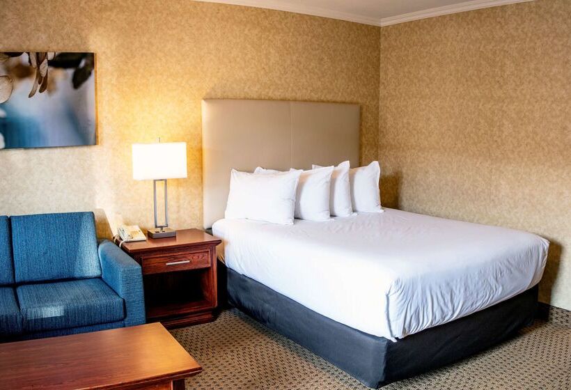 فندق Best Western Voyageur Place