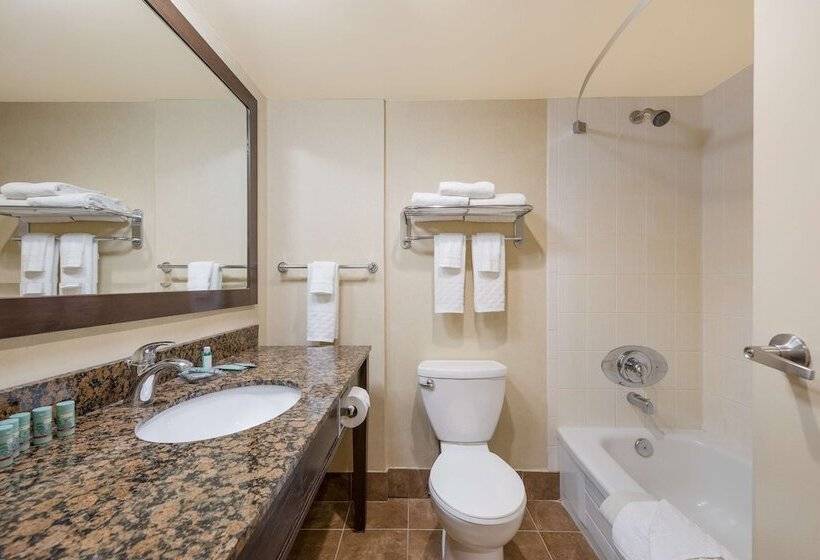 فندق Best Western Voyageur Place