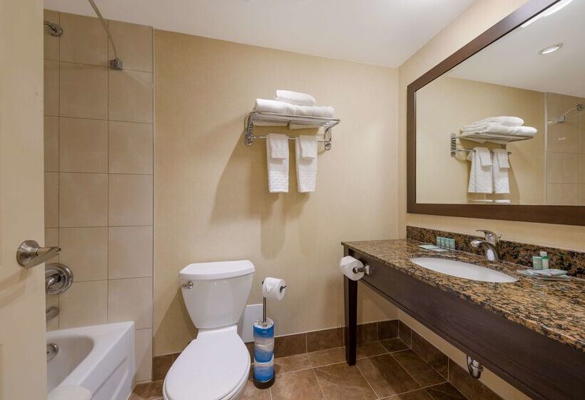 فندق Best Western Voyageur Place