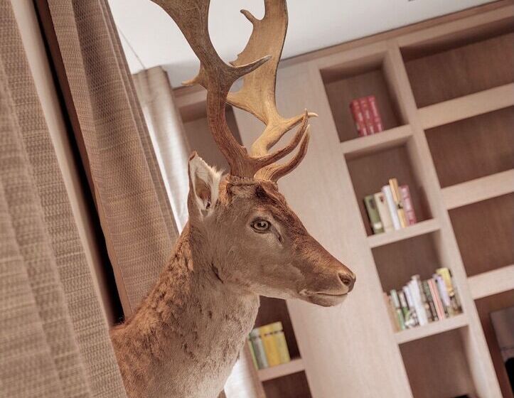 Boutique Hotel Wellenberg