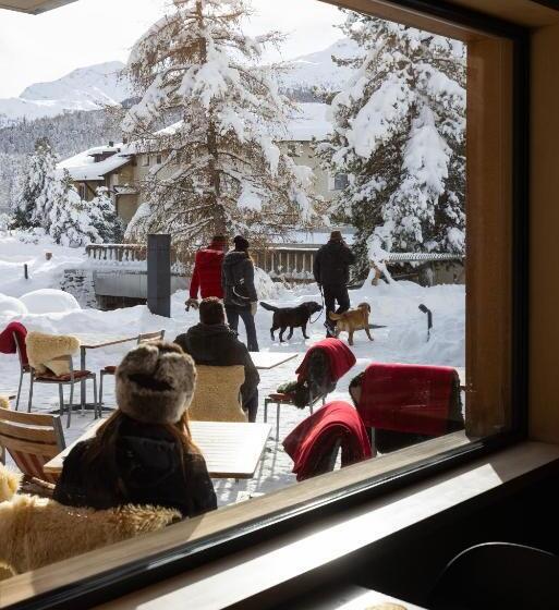 Отель Chesa Rosatsch  Home Of Food