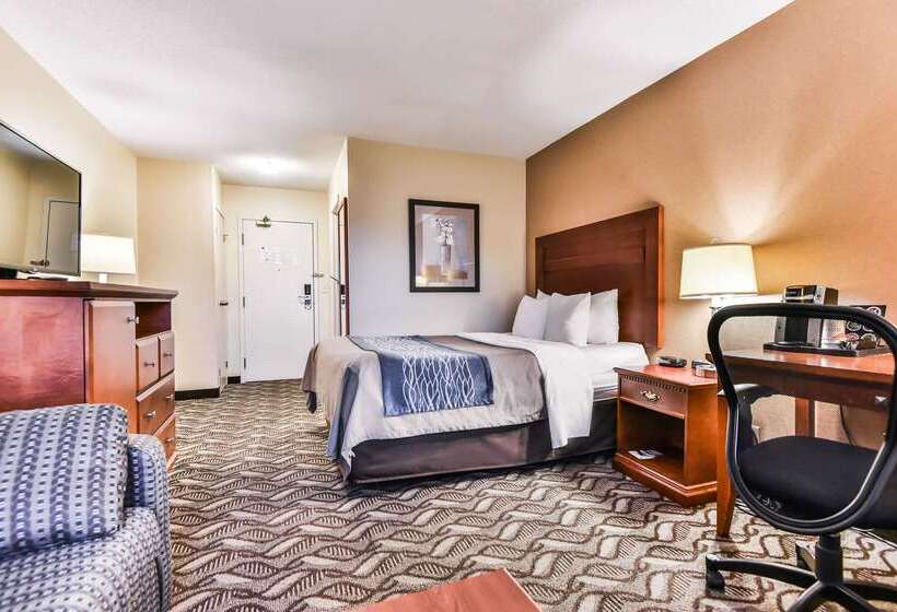 هتل Comfort Inn & Suites Ambassador Bridge