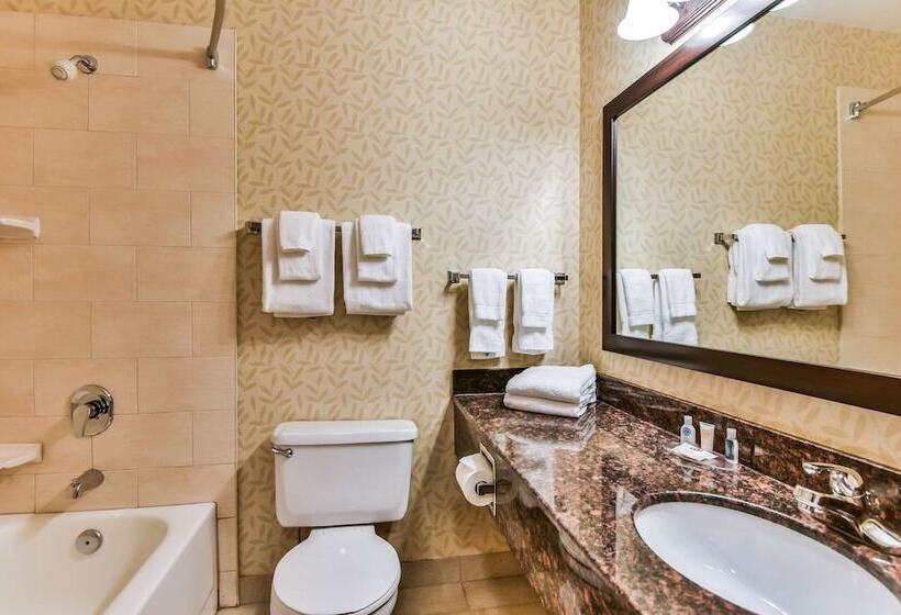 בית מלון כפרי Comfort Inn & Suites Ambassador Bridge