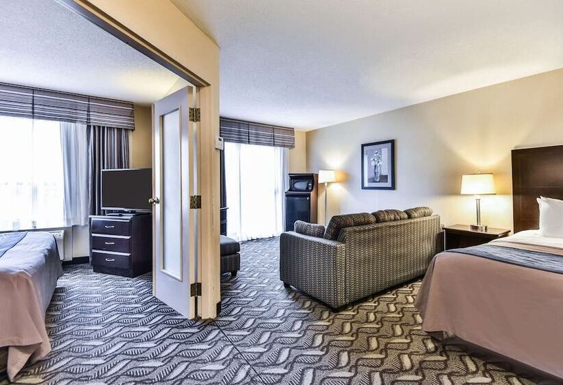 ホテル Comfort Inn & Suites Ambassador Bridge