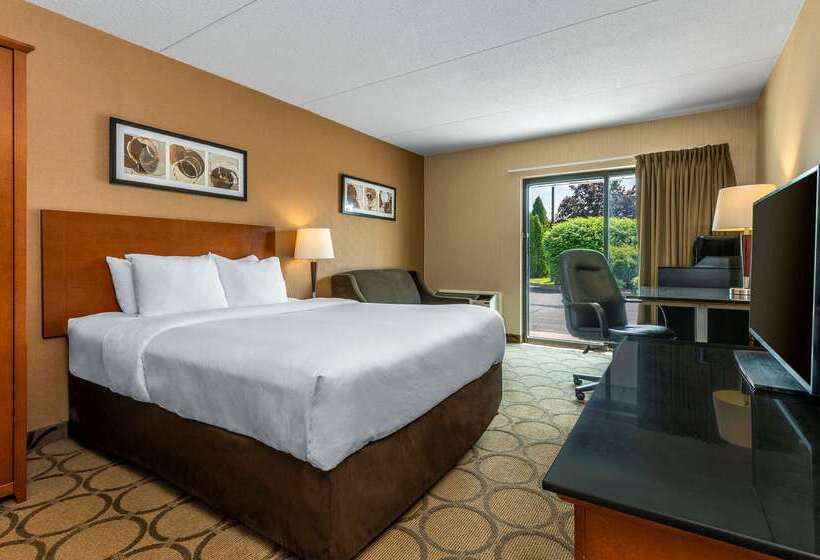 فندق Comfort Inn East