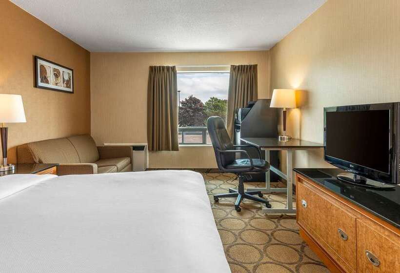 فندق Comfort Inn East