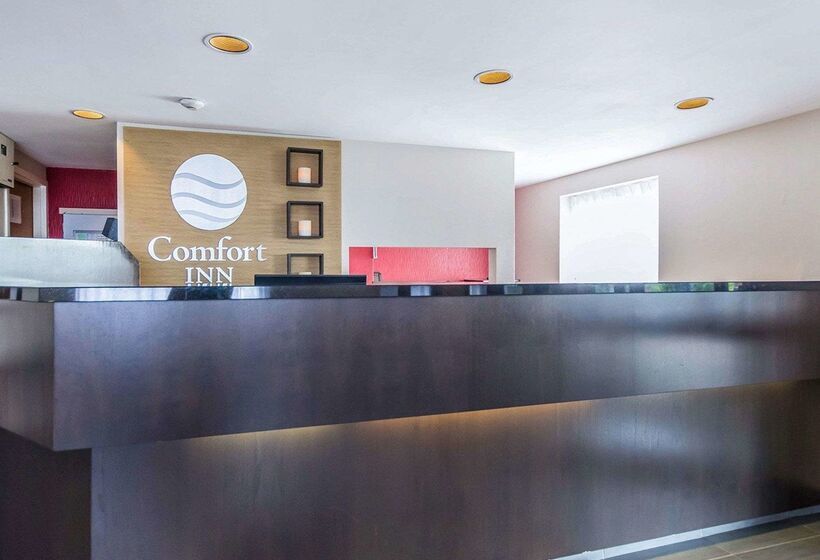 هتل Comfort Inn East