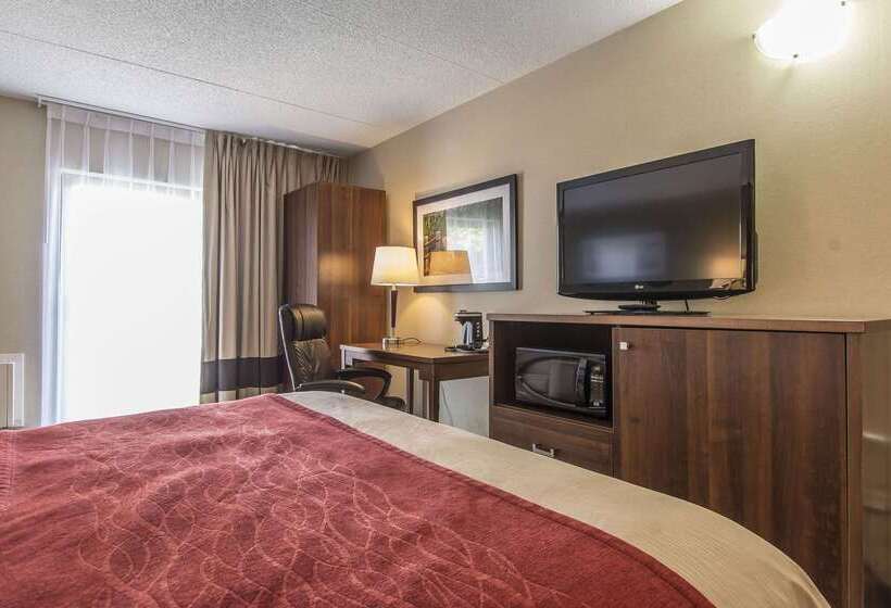 فندق Comfort Inn