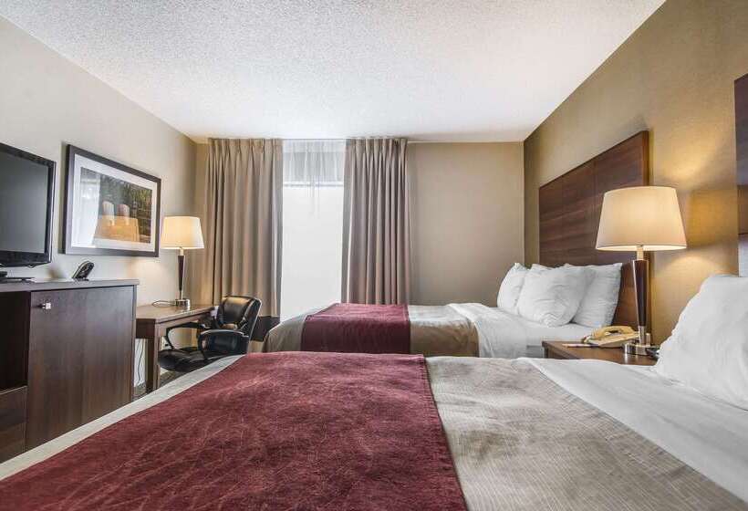 فندق Comfort Inn