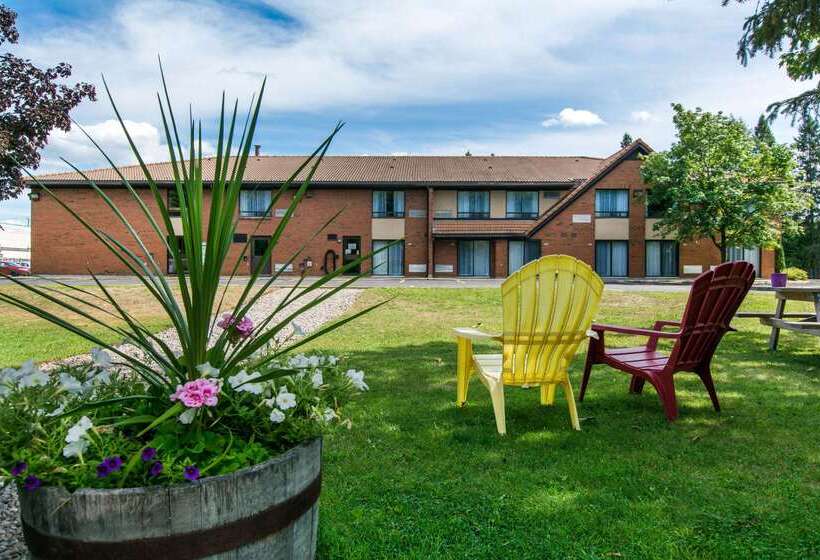 فندق Comfort Inn