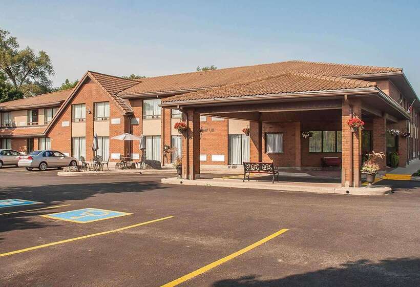 酒店 Comfort Inn
