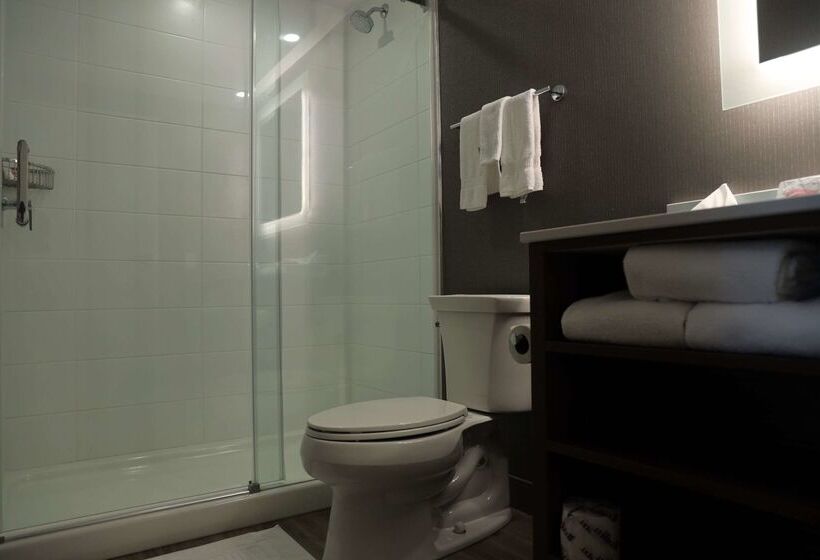 فندق Comfort Inn & Suites