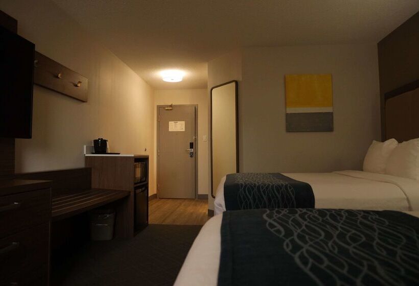 فندق Comfort Inn & Suites