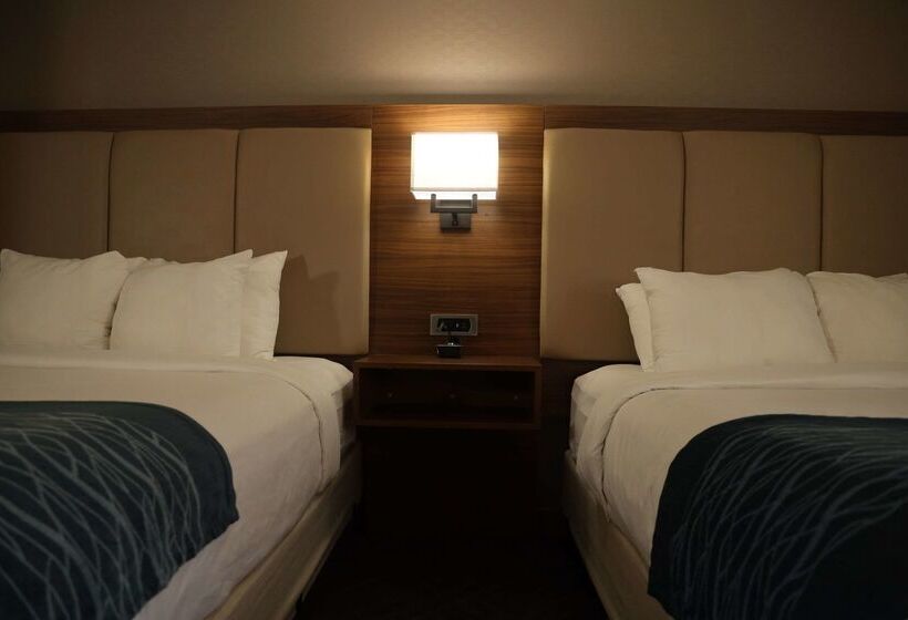 فندق Comfort Inn & Suites