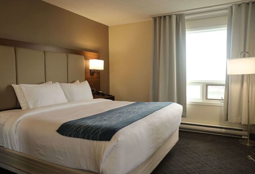 فندق Comfort Inn & Suites