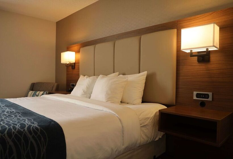 فندق Comfort Inn & Suites