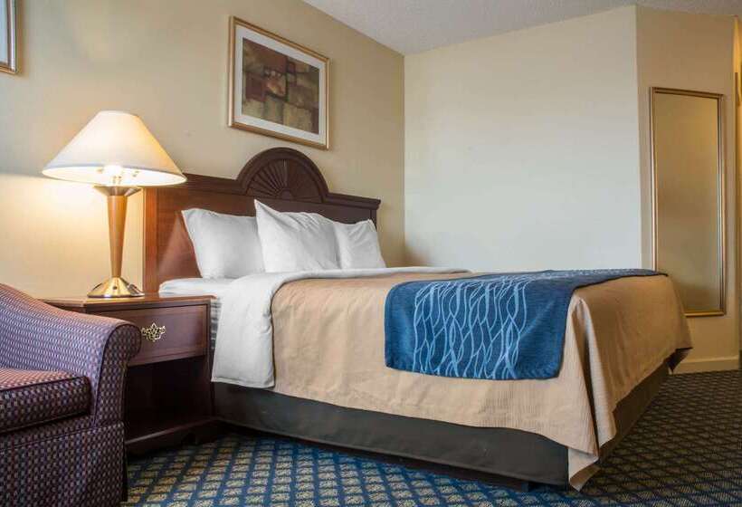 فندق Comfort Inn & Suites