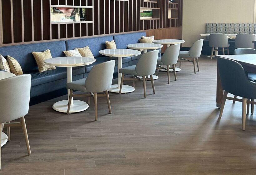 فندق Comfort Inn & Suites