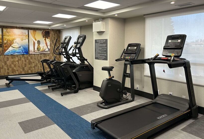 فندق Comfort Inn & Suites