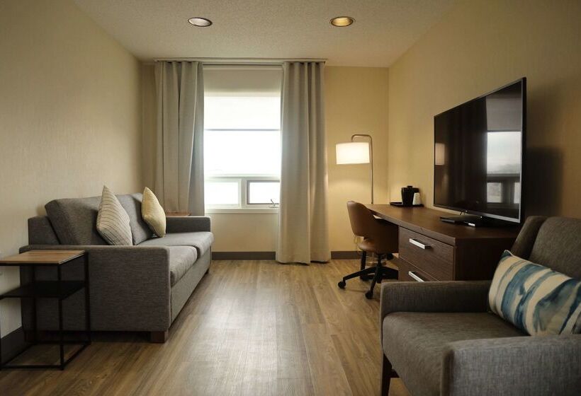 فندق Comfort Inn & Suites