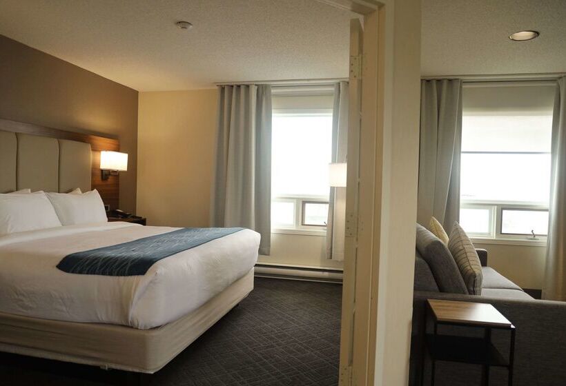 فندق Comfort Inn & Suites