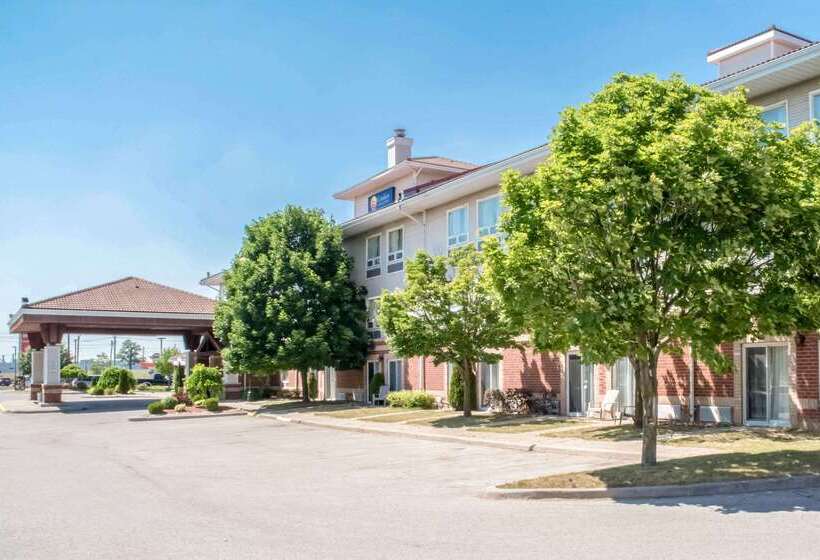 فندق Comfort Inn & Suites