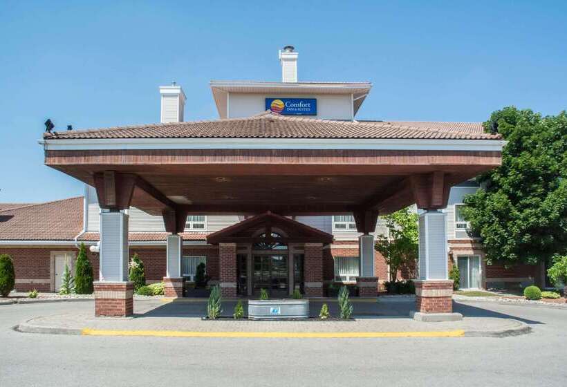 فندق Comfort Inn & Suites