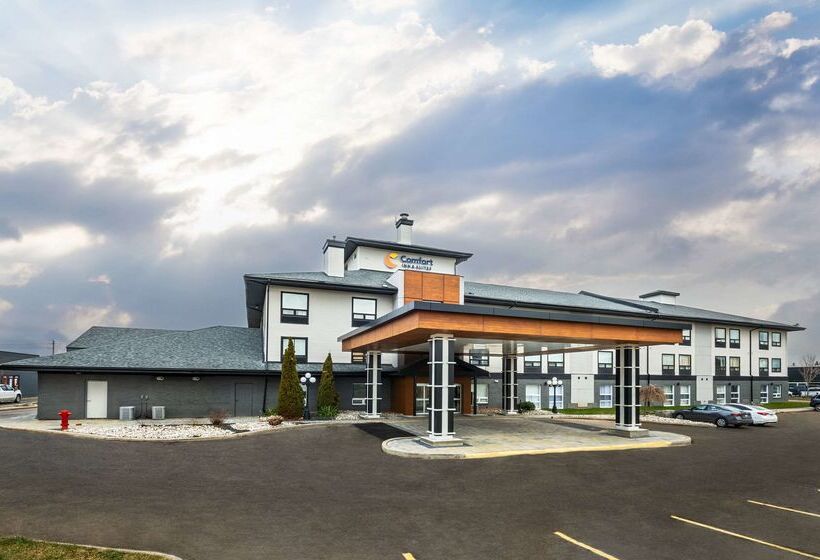 فندق Comfort Inn & Suites