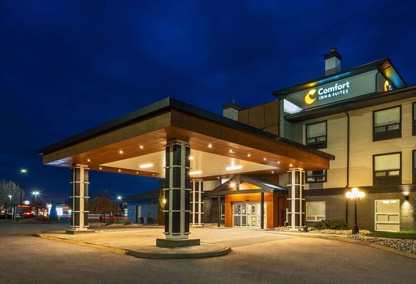 فندق Comfort Inn & Suites