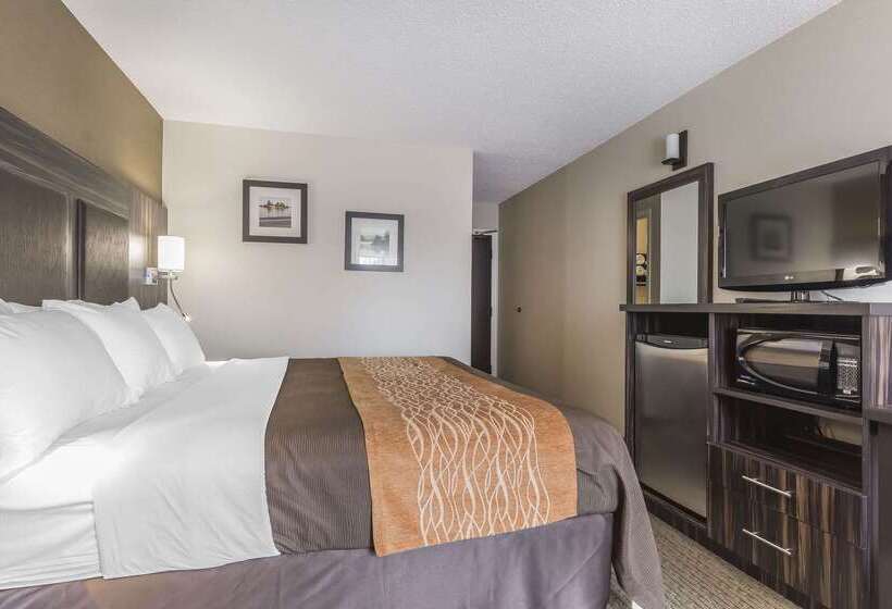 فندق Comfort Inn  Trenton