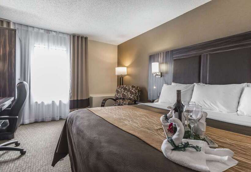 فندق Comfort Inn  Trenton