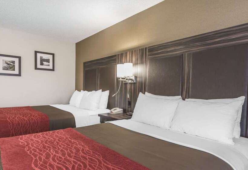 فندق Comfort Inn  Trenton