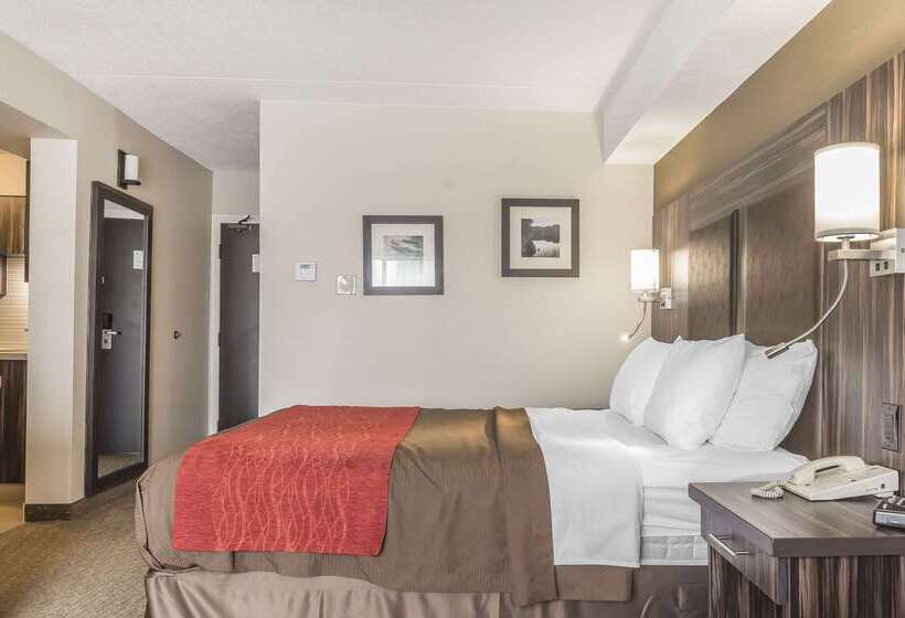 فندق Comfort Inn  Trenton