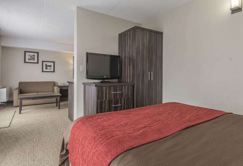 فندق Comfort Inn  Trenton