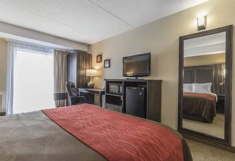 فندق Comfort Inn  Trenton