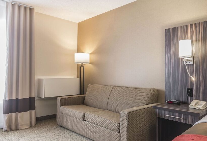 فندق Comfort Inn  Trenton