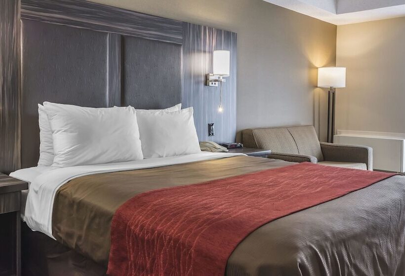 فندق Comfort Inn  Trenton